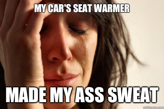 My car's seat warmer Made my ass sweat  First World Problems