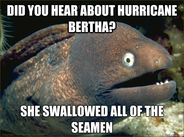 DID YOU HEAR ABOUT HURRICANE BERTHA? SHE SWALLOWED ALL OF THE SEAMEN  Bad Joke Eel