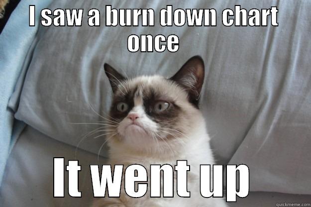 I SAW A BURN DOWN CHART ONCE IT WENT UP Grumpy Cat