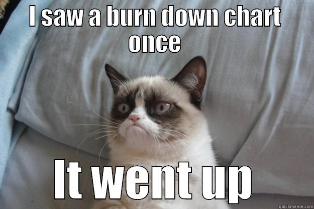 Grumpy Chart Up - I SAW A BURN DOWN CHART ONCE IT WENT UP Grumpy Cat