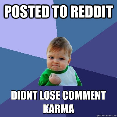 posted to reddit didnt lose comment karma  Success Kid