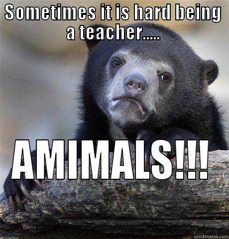 SOMETIMES IT IS HARD BEING A TEACHER..... AMIMALS!!! Confession Bear