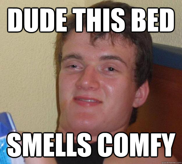Dude this bed smells comfy  - Dude this bed smells comfy   10 Guy