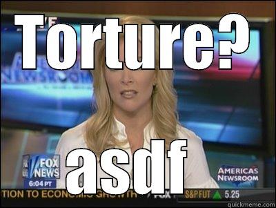 TORTURE? ASDF  Megyn Kelly