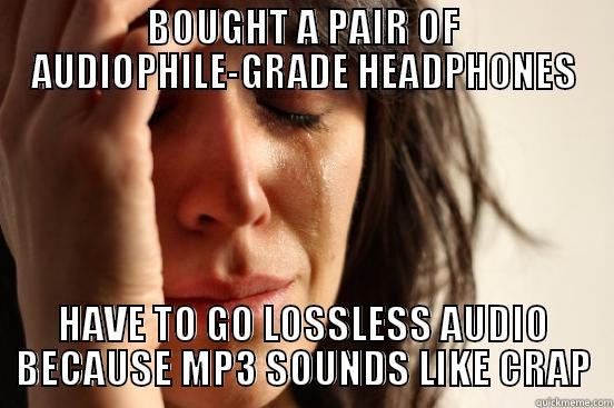The problem with my new pair of cans - BOUGHT A PAIR OF AUDIOPHILE-GRADE HEADPHONES HAVE TO GO LOSSLESS AUDIO BECAUSE MP3 SOUNDS LIKE CRAP First World Problems