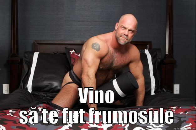 VINO SĂ TE FUT FRUMOSULE Gorilla Man