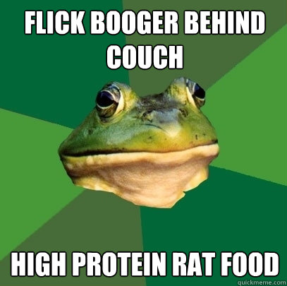 Flick booger behind couch high protein rat food  Foul Bachelor Frog