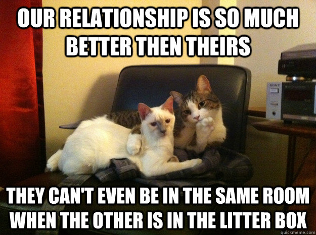 our Relationship is so much better then theirs they can't even be in the same room when the other is in the litter box  - our Relationship is so much better then theirs they can't even be in the same room when the other is in the litter box   Judgmental Cat Couple