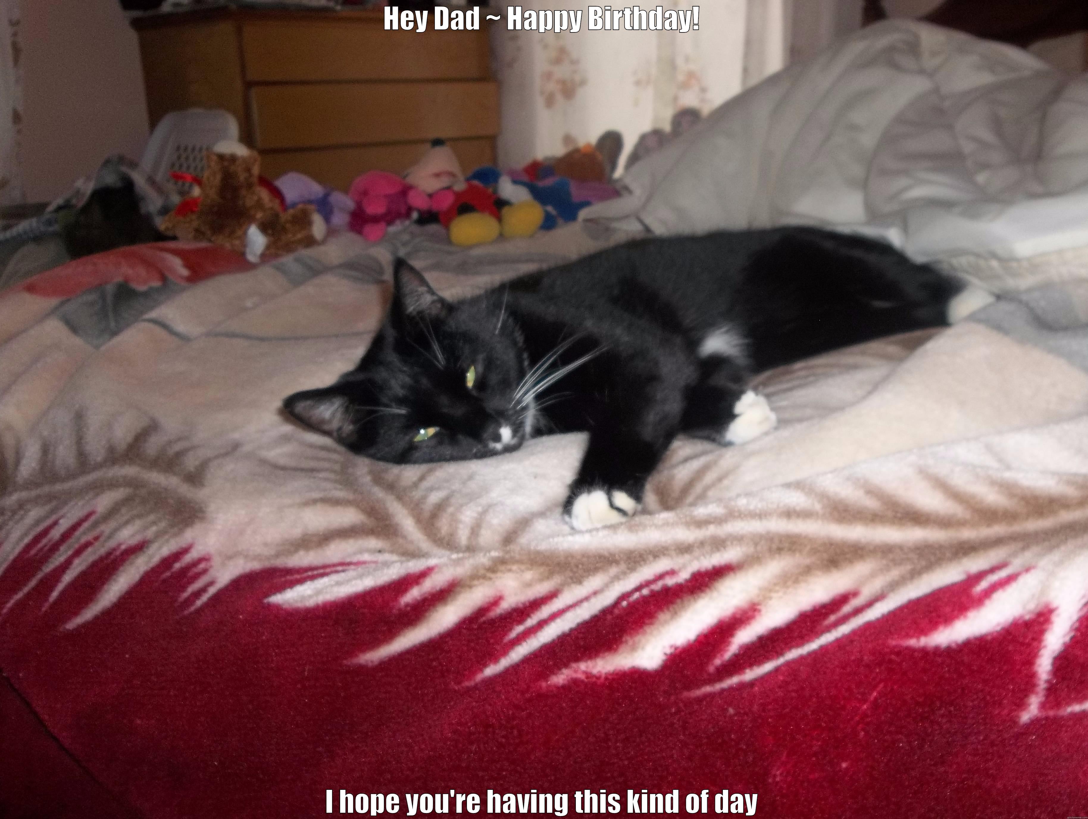 HEY DAD ~ HAPPY BIRTHDAY! I HOPE YOU'RE HAVING THIS KIND OF DAY Misc