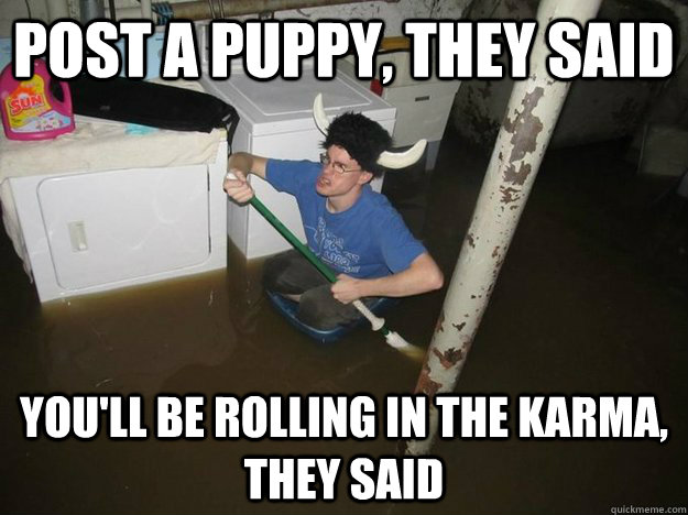 Post a puppy, they said You'll be rolling in the karma, they said  Laundry Room Viking