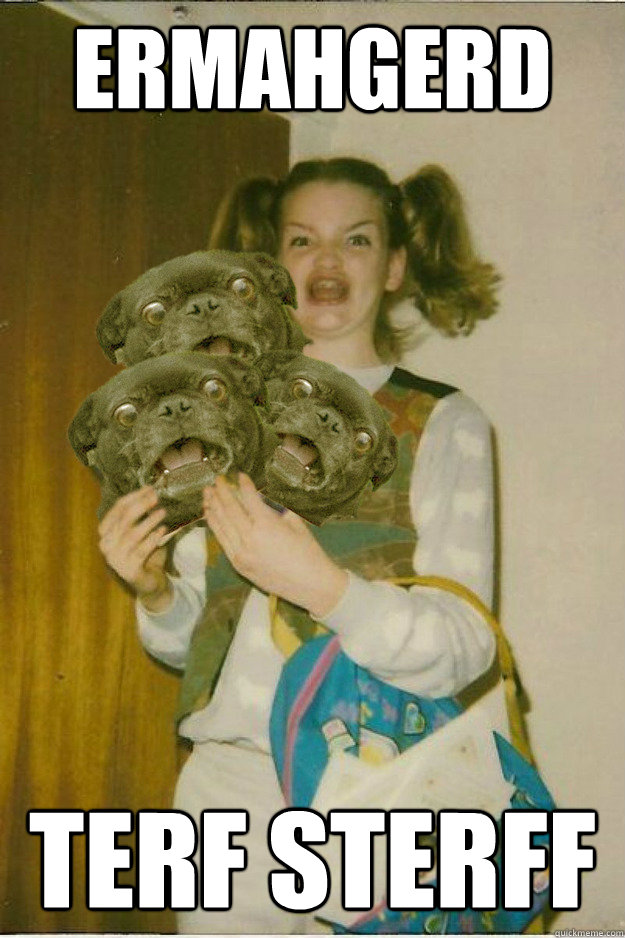 ermahgerd terf sterff  ermahgerd dergs