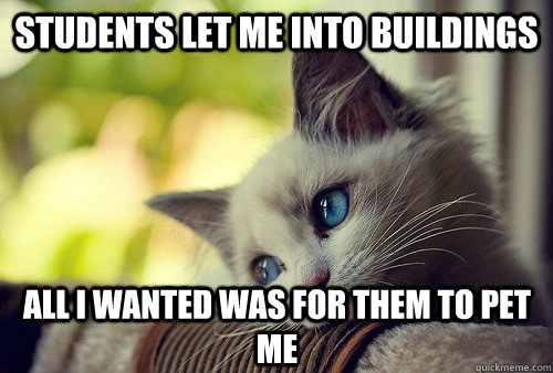 Students let me into buildings All I wanted was for them to pet me - Students let me into buildings All I wanted was for them to pet me  First World Cat Problems