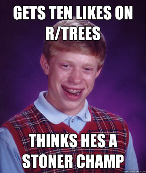 Gets ten likes on r/trees thinks hes a stoner champ - Gets ten likes on r/trees thinks hes a stoner champ  Bad Luck Brian