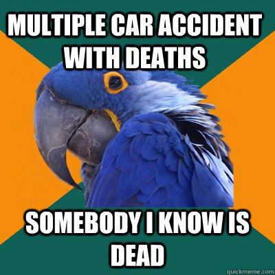 Multiple car accident with deaths Somebody I know is DEAD  Paranoid Parrot