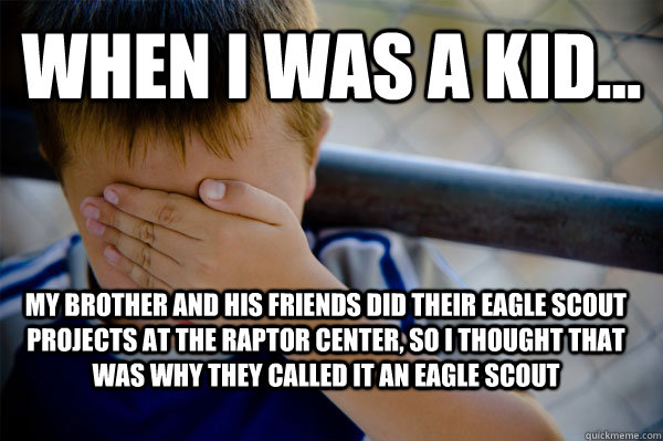 WHEN I WAS A KID... My brother and his friends did their eagle scout projects at the raptor center, so i thought that was why they called it an eagle scout  Confession kid