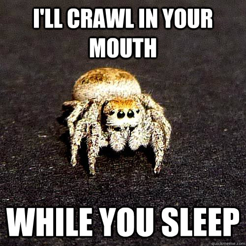 i'll crawl in your mouth while you sleep Crawling Spider quickmeme