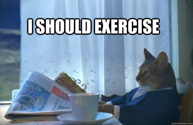 I should exercise - I should exercise  Sophisticated Cat