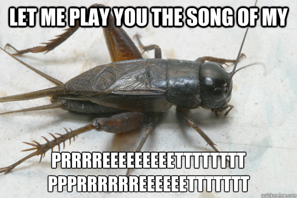 Let me play you the song of my PRRRREEEEEEEEETTTTTTTT
PPPRRRRRREEEEEETTTTTTT  