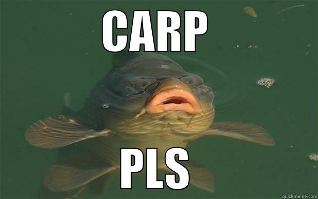 CARP PLS Misc