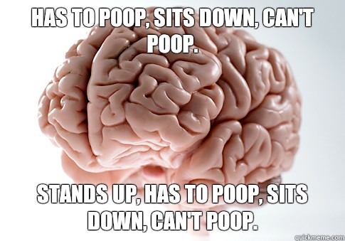 Has to poop, sits down, can't poop. Stands up, has to poop, sits down, can't poop.  Scumbag Brain