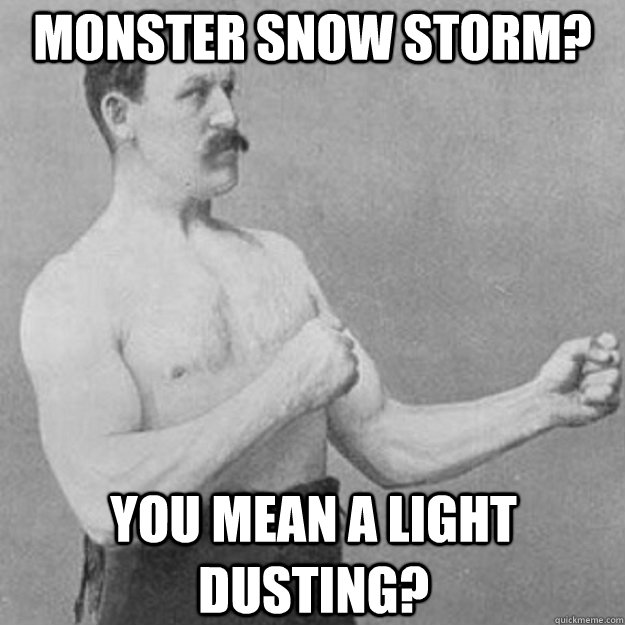 monster snow storm? you mean a light dusting?  overly manly man