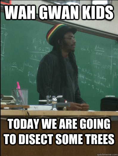 wah gwan kids today we are going to disect some trees   Rasta Science Teacher