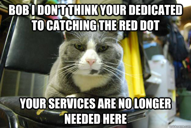 Bob I don't think your dedicated to catching the red dot  Your services are no longer needed here  