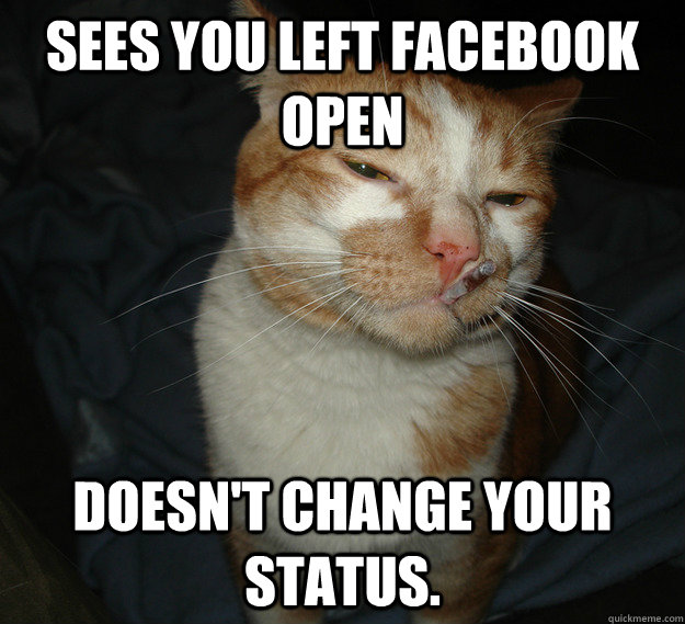 Sees you left facebook open doesn't change your status. - Sees you left facebook open doesn't change your status.  Good Guy Cat