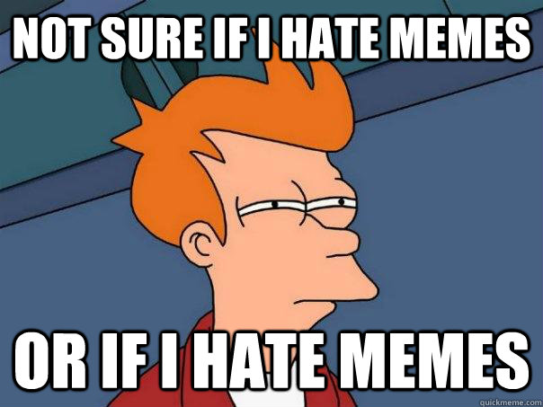 Not sure if I hate memes  or if i hate memes - Not sure if I hate memes  or if i hate memes  Futurama Fry