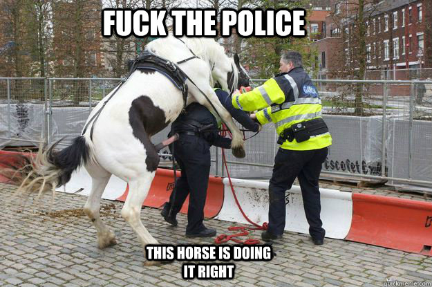 Fuck THE POLICE THIS HORSE IS DOING IT RIGHT - Fuck THE POLICE THIS HORSE IS DOING IT RIGHT  F the police