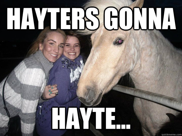 HAYters gonna HAYte...  Ridiculously Photogenic Horse