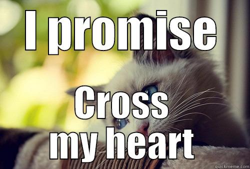 I PROMISE CROSS MY HEART First World Problems Cat