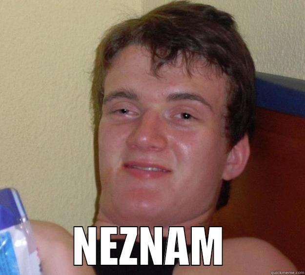  NEZNAM 10 Guy