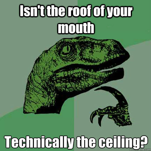 Isn't the roof of your mouth Technically the ceiling?  Philosoraptor