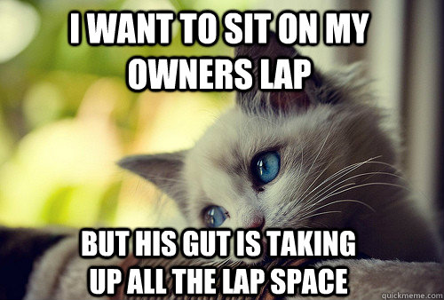 I want to sit on my owners lap but his gut is taking up all the lap space - I want to sit on my owners lap but his gut is taking up all the lap space  First World Cat Problems