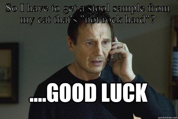 SO I HAVE TO GET A STOOL SAMPLE FROM MY CAT THAT'S 