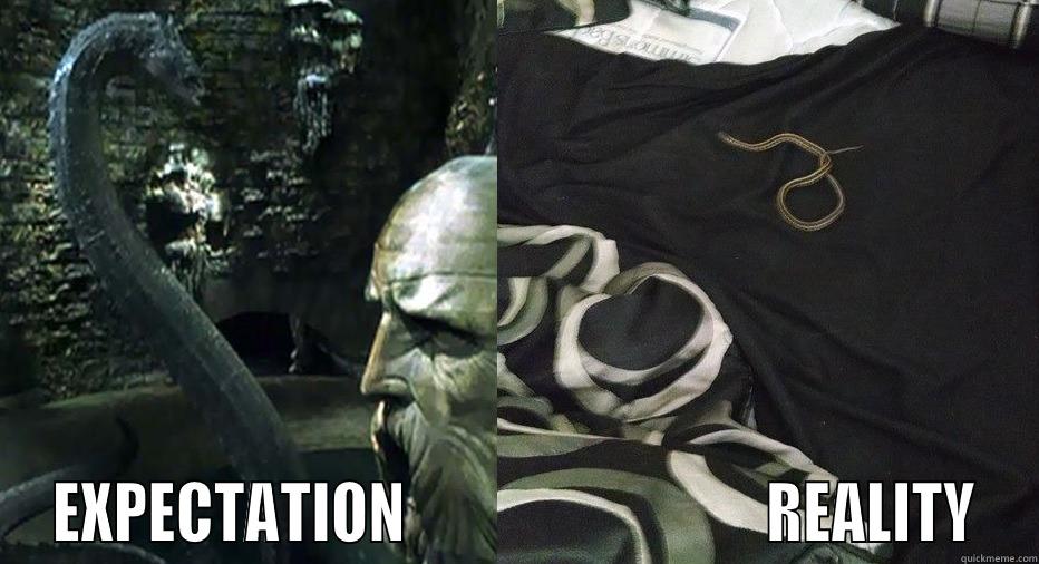  EXPECTATION                              REALITY Misc