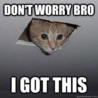 Don't worry bro I got this  Ceiling Cat