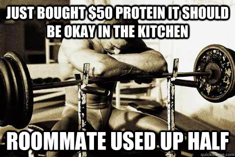 Just bought $50 Protein It should be okay in the kitchen Roommate used up Half  