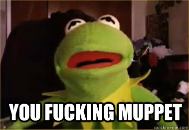  You Fucking Muppet  
