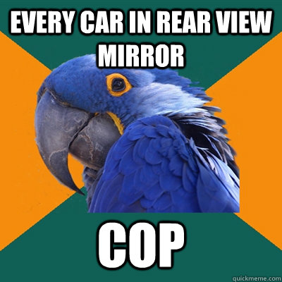 every car in rear view mirror cop  Paranoid Parrot