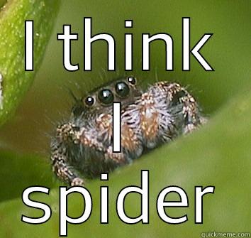 I THINK I SPIDER Misunderstood Spider