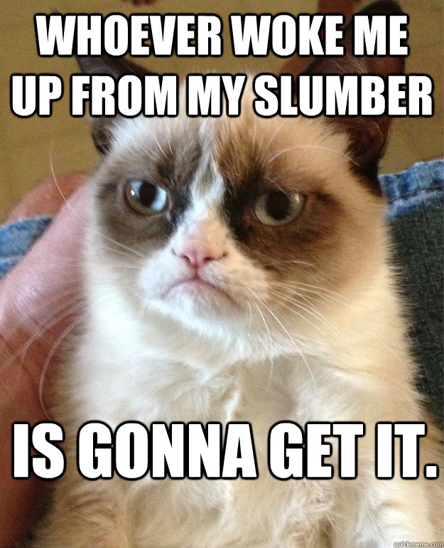 whoever woke me up from my slumber  is gonna get it. - whoever woke me up from my slumber  is gonna get it.  Misc