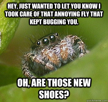 Hey, just wanted to let you know I took care of that annoying fly that kept bugging you. Oh, are those new shoes?  Misunderstood Spider