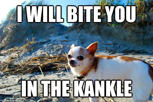 i will bite you in the kankle - i will bite you in the kankle  Beware of Dog