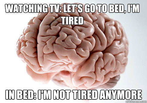 Watching TV: let's go to bed, i'm tired IN BED: I'm not tired anymore   Scumbag Brain