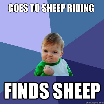 goes to sheep riding finds sheep  Success Kid