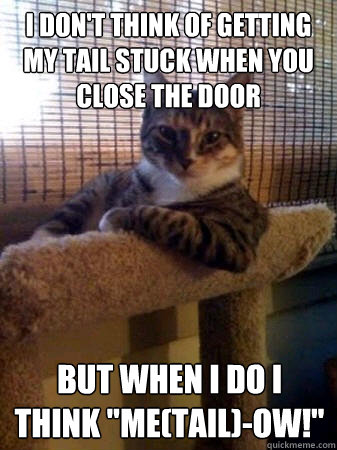 I don't think of getting my tail stuck when you close the door but when I do I think 