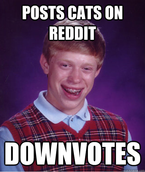 Posts cats on reddit Downvotes  Bad Luck Brian