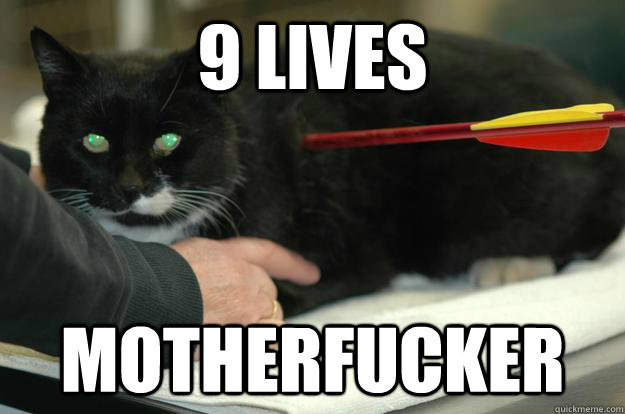 9 Lives Motherfucker - 9 Lives Motherfucker  Worlds Toughest Cat